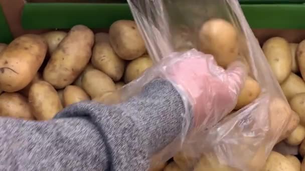 Αρσενικό χέρια Βάλτε πατάτες — Αρχείο Βίντεο