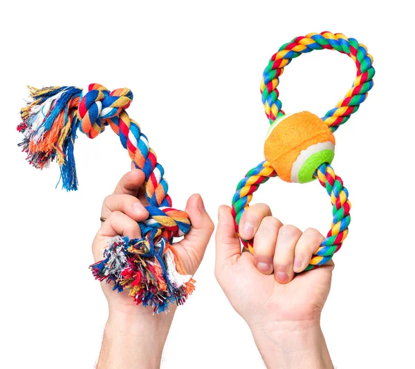 Hand with dog toy — Stock Photo, Image