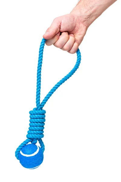 Hand with dog toy — Stock Photo, Image