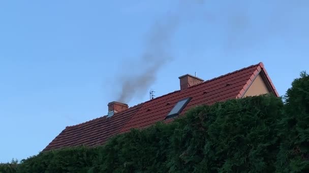 Smoke comes from chimney — Stock Video