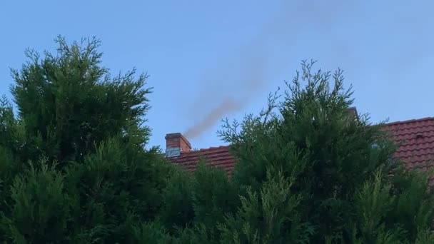 El humo viene de la chimenea — Vídeo de stock