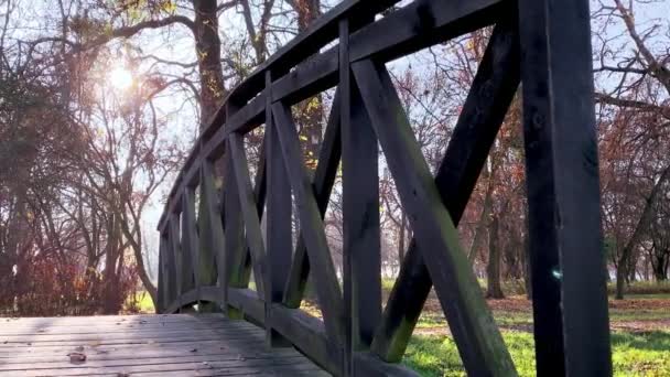 Houten brug in het herfstpark — Stockvideo