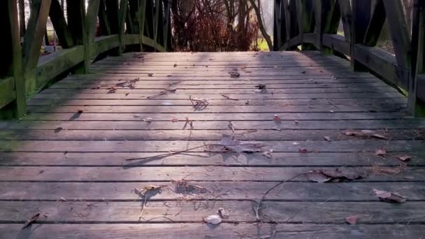 Dřevěný most v podzimním parku — Stock video