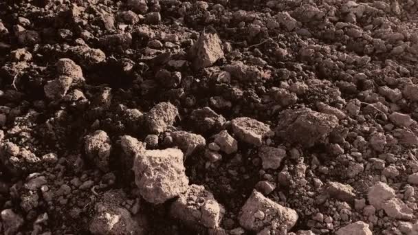 Plowed felt med mørk jord – Stock-video