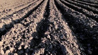 Karanlık toprak ile sürülmüş alan