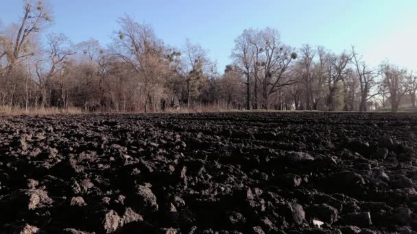 Campo arato con terreno scuro — Video Stock