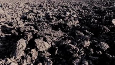 Baharın başlangıcı veya sonbahar sonunda koyu toprak ile boş sürülmüş alan. Sonbahar çalışır sonra alan toprak çiftçilik. Çiftlik kırsal - siyah toprak alanlarda sonbahar sezonu.