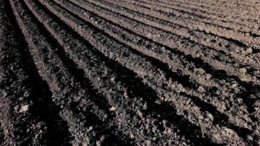 Karanlık toprak ile sürülmüş alan