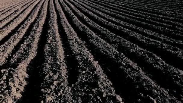 Plowed field with dark soil — Stock Video
