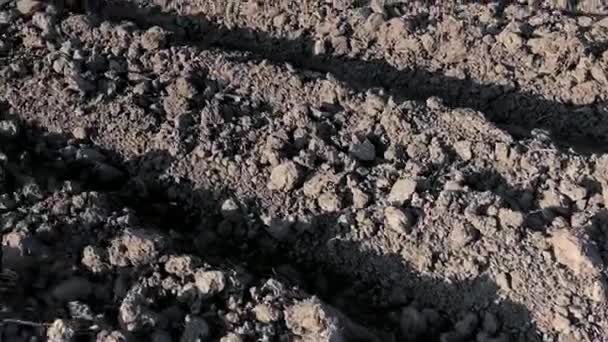 A sötét talaj felszántott mező — Stock videók