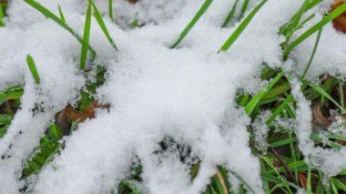 Eriyen karın hızlanma süresi