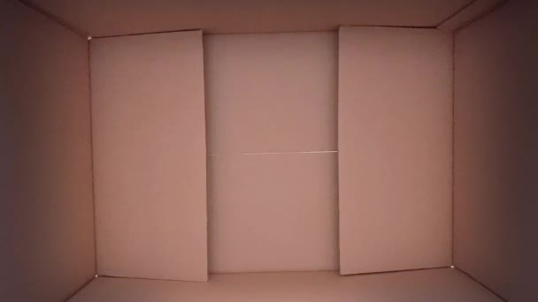 Caja Cartón Marrón Simple Apertura Caja Cartón Pov Caja Regalo — Vídeos de Stock