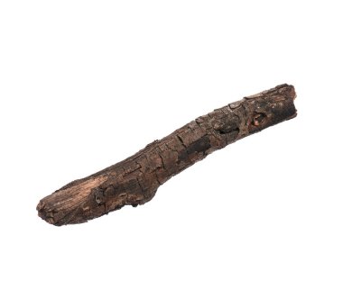 Tek bir kuru ağaç dalı, beyaz arka planda izole edilmiş. Tasarım için ağaç dalını doğadan tutun.