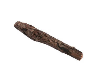 Tek bir kuru ağaç dalı, beyaz arka planda izole edilmiş. Tasarım için ağaç dalını doğadan tutun.