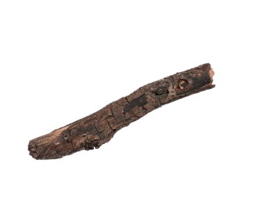 Tek bir kuru ağaç dalı, beyaz arka planda izole edilmiş. Tasarım için ağaç dalını doğadan tutun.