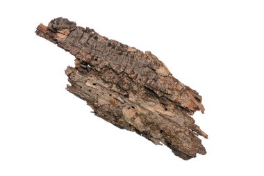 Eski ağaç kabuğu, Studio beyaz arka plan üzerinde izole parçası