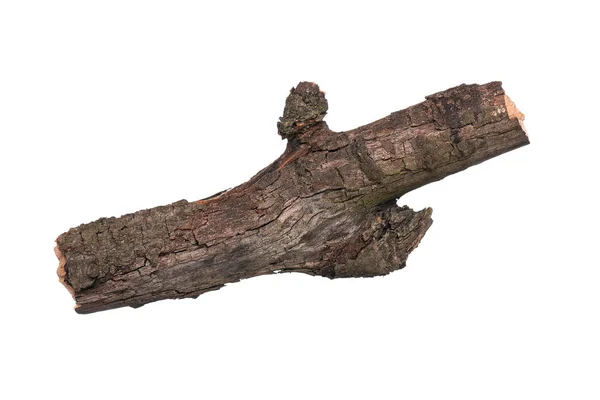 Cabang Pohon Kering Tunggal Terisolasi Pada Latar Belakang Putih Cabang — Stok Foto