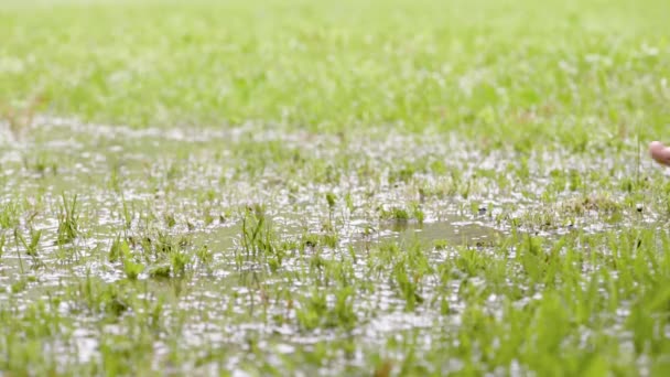 Босоногий чоловік стрибає у воду в траві — стокове відео