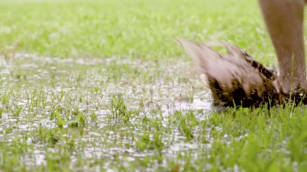 Босоногий прыгает в воду в траве — стоковое видео