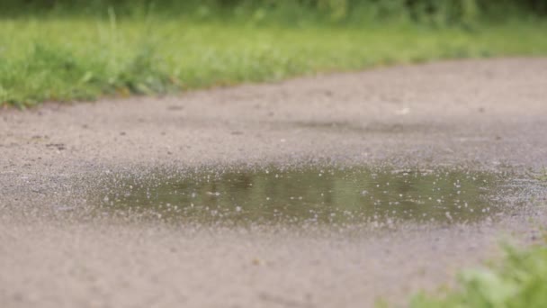 Çamurlu su birikintisi içine Bacaklar koşucu — Stok video