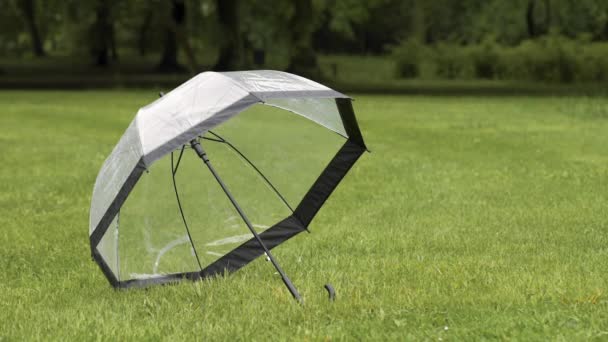 Regenschirm auf Feld mit grünem Gras — Stockvideo