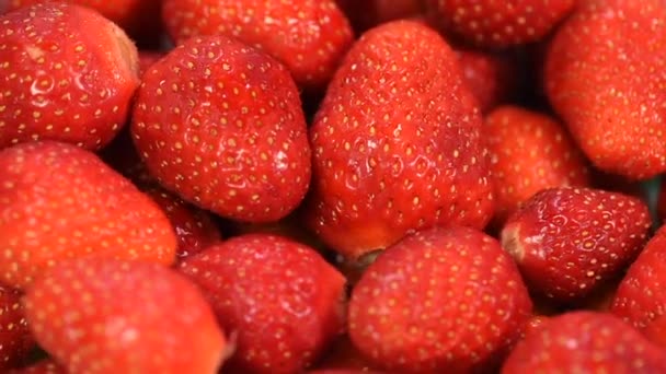 Frische rote Erdbeeren rotieren — Stockvideo
