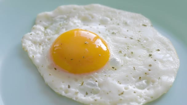 Fried egg on plate — Stock Video