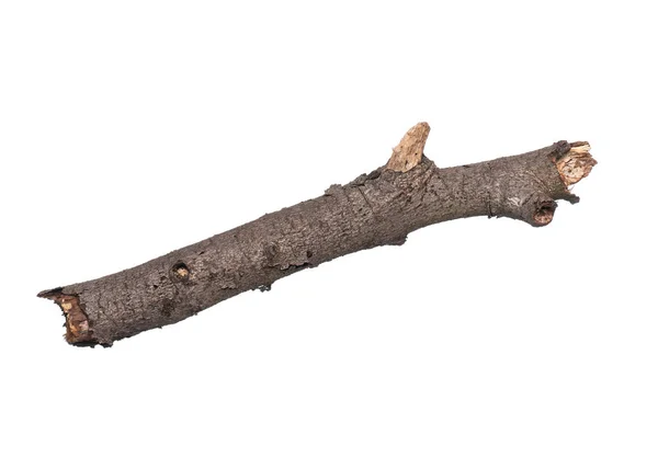 Dry tree branch on white — Stock Photo, Image