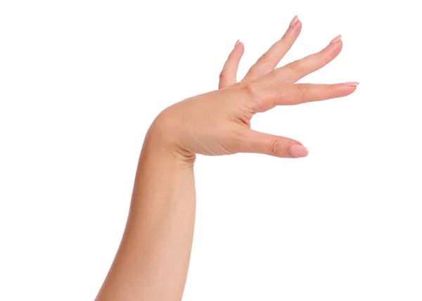 Kvinnlig hand på vit — Stockfoto