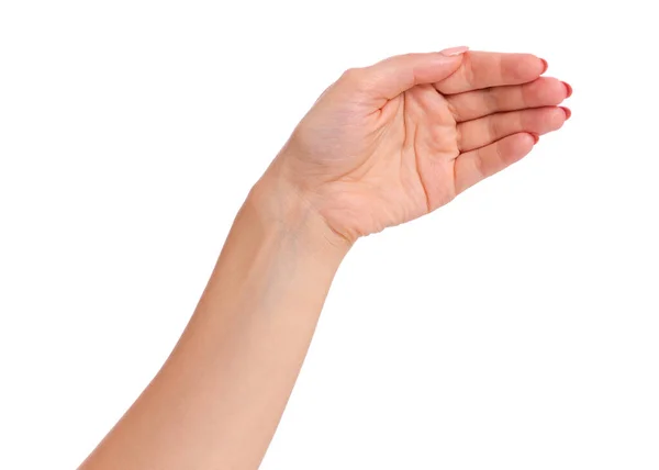 Mão feminina sobre branco — Fotografia de Stock
