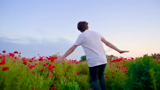 Teen Chlapec Běží Baví Přes Makové Pole Zadní Pohled Šťastné — Stock video