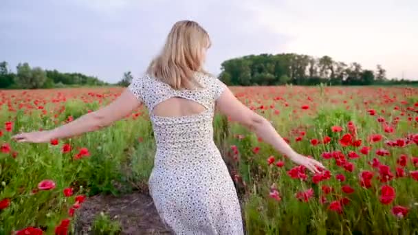 Vakker Smilende Kvinne Dress Løper Har Det Gøy Valmueåkeren Lykkelig – stockvideo