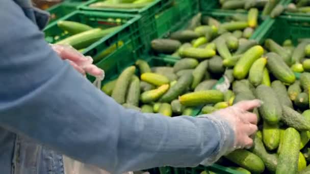 Mujer Manos Guantes Protectores Eligiendo Pepinos Verdes Comprar Comida Supermercado — Vídeo de stock