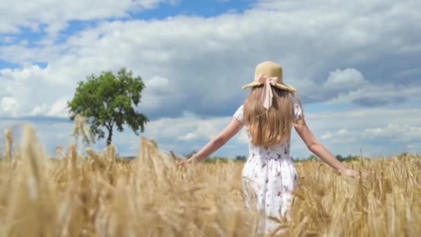 Menina Feliz Bonita Chapéu Andando Pelo Campo Cevada Dourada Acariciando — Vídeo de Stock