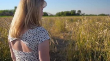 Güzel bir kadın altın arpa tarlasında yürüyor, doğa. Ağır çekim. Mısır gevreği tarlasında giyinmiş çekici bir kız..