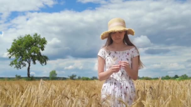 戴着帽子的漂亮的快乐女孩穿过金色的大麦田 手里拿着小穗 穿着白色衣服的女孩在麦田里 去镜头前 慢动作 — 图库视频影像