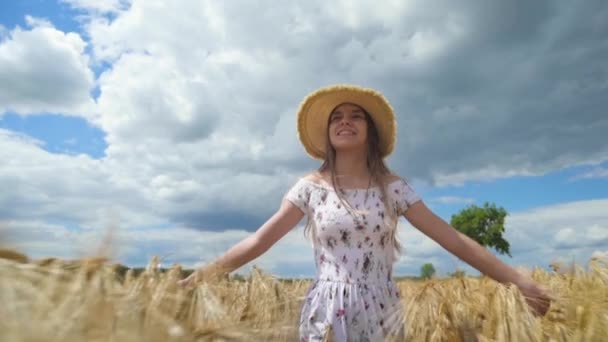 Hermosa Chica Feliz Sombrero Caminando Por Campo Cebada Dorada Acariciando — Vídeos de Stock