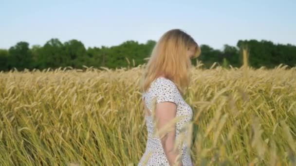 Όμορφη Γυναίκα Περπατά Μέσα Από Χρυσό Barley Πεδίο Εξωτερική Φύση — Αρχείο Βίντεο