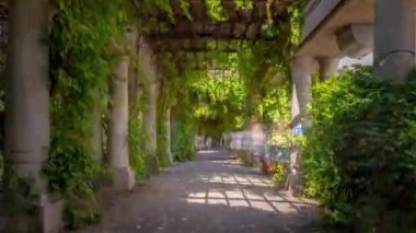 Hala Stulecia 'da Pergola' nın 4K Hiperlapesi