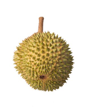 Durian 