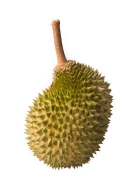 Durian 