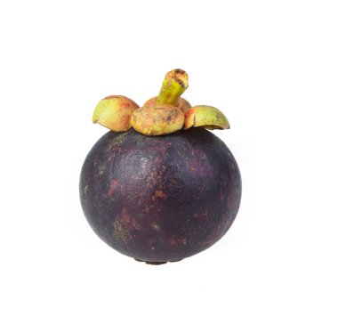 Mangosteen