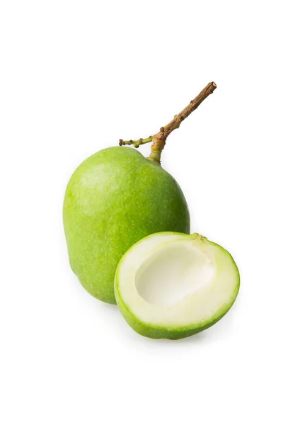 Mangifera — Stockfoto