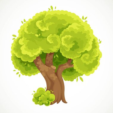 Beyaz arka planda yeşil yaprak vektörüyle izole edilmiş büyük, kalın, yaz ağacı.