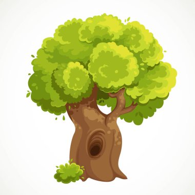 Beyaz zemin üzerine izole edilmiş, içi boş ve yemyeşil yeşillik vektörlü yaz büyük yaşlı ağacı.