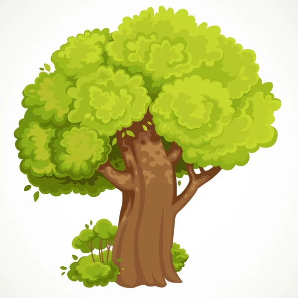 Verano Viejo Árbol Alto Grande Con Exuberante Follaje Verde Vector — Vector de stock