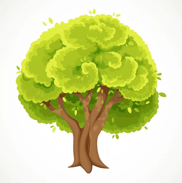 緑豊かな緑の葉ベクトルの描画と夏の木は白い背景に隔離された — ストックベクタ