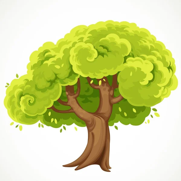 Summe Drzewo Zielonymi Liści Wektor Rysunek Izolowany Białym Tle — Wektor stockowy