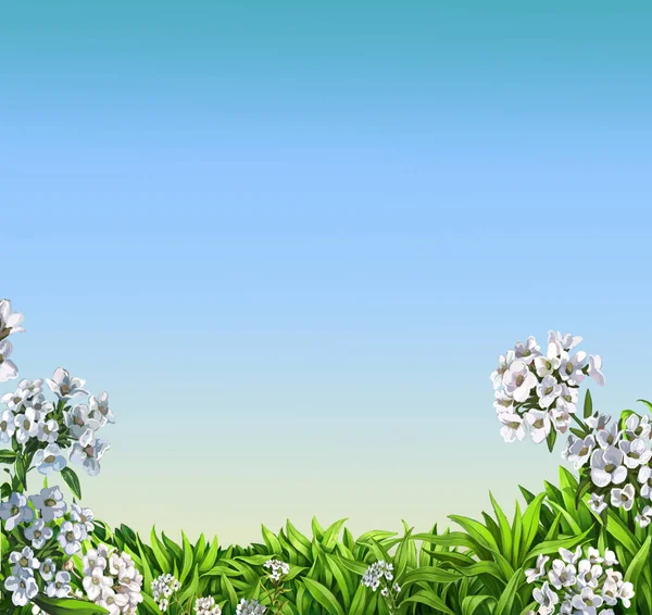 Green Grass Blue Sky Background — Stock Photo, Image