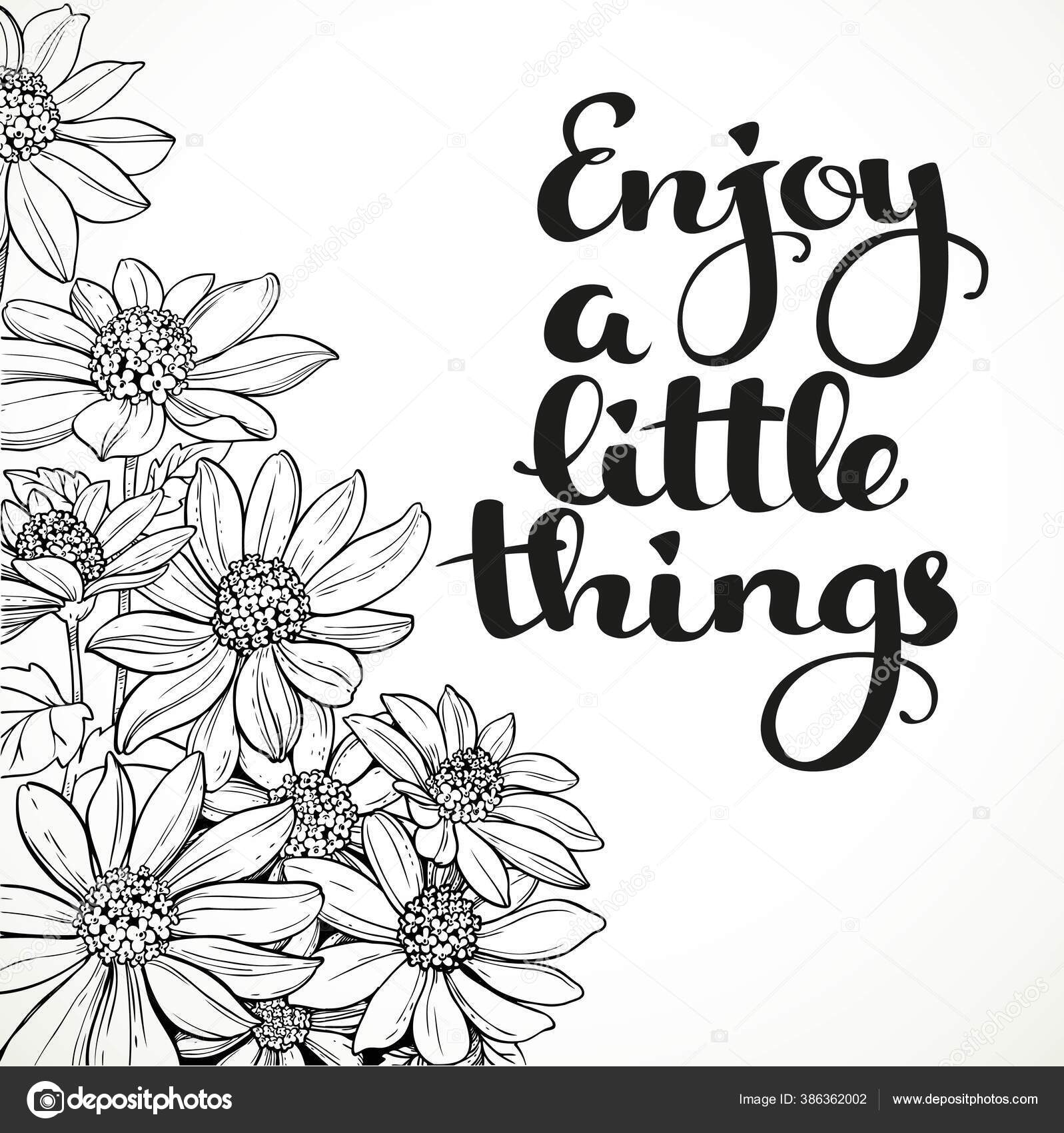 Blomst Linjetegning Stock Foto Af Blomst, Linje, Tegning | Colourbox